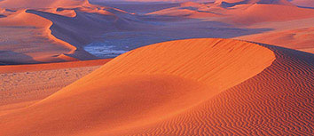 荣耀之争：各支球队敢问谁是强者？