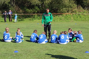 九游网页官网-国家队战术决策效率如何提升，国家队战术决策效率如何提升的